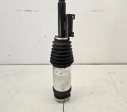 Tesla Model X Rear shock absorber/damper 162046799B