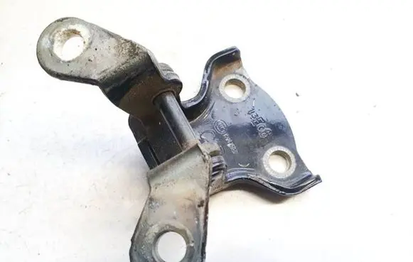 Chevrolet Captiva Rear door lower hinge