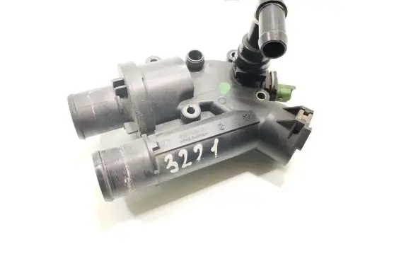 Thermostat/thermostat housing
