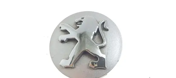 Peugeot 307 Original wheel cap 9639098380