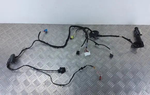 Audi Q5 SQ5 Front door wiring loom 80A971030D
