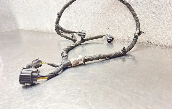 Ford Edge II Other wiring loom F2GT8C290BC 8C290BC