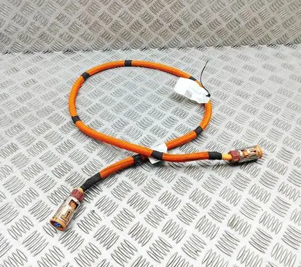 Mercedes-Benz EQE v295 Other wiring loom A2955407106