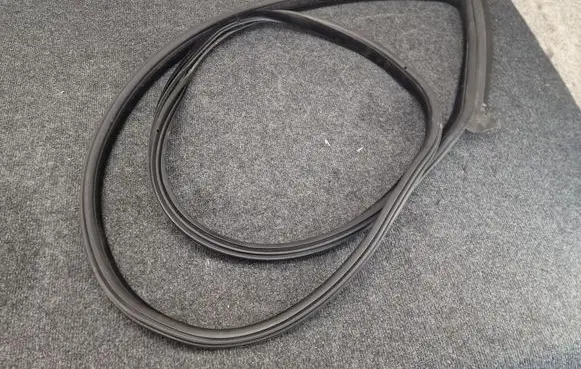 BMW 6 F12 F13 Front door rubber seal 7268799