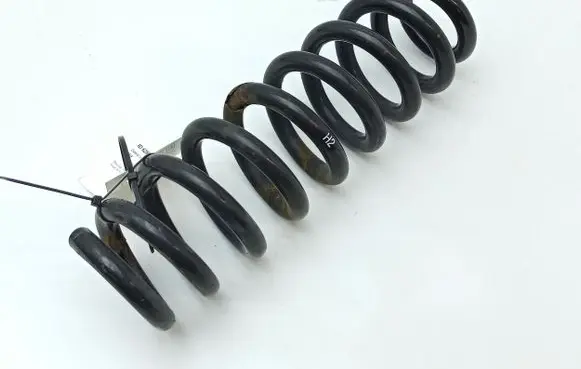BMW X1 E84 Rear coil spring