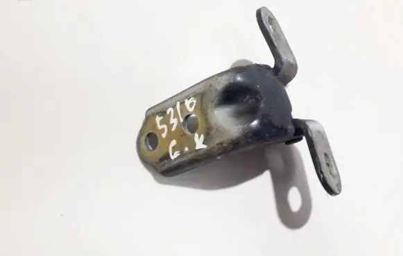 Rear door lower hinge