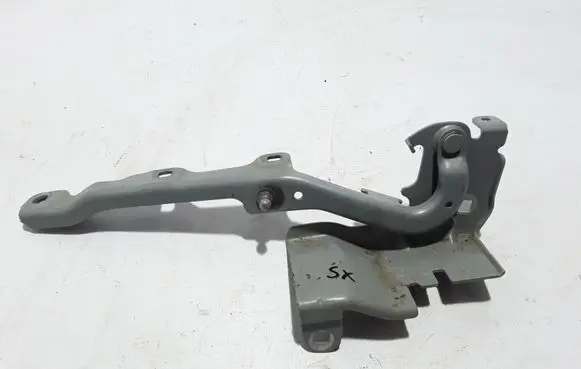 Renault Latitude (L70) Engine bonnet/hood hinges 654010010R