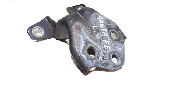 Hyundai Santa Fe Front door lower hinge 