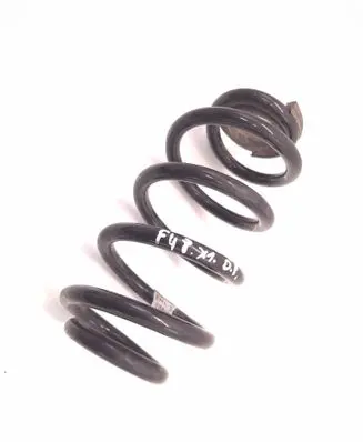 Rear coil spring