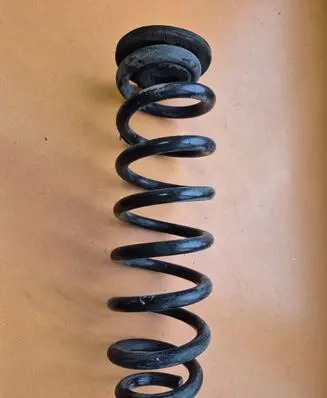 Opel Insignia B Rear coil spring AA6K