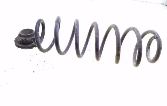 Seat Ibiza III (6L) Rear coil spring