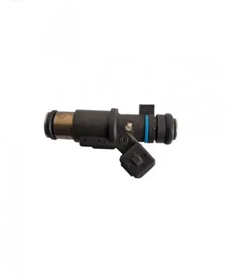Citroen Berlingo Fuel injector 01F002A