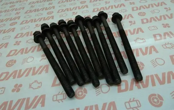 Opel Antara Cylinder head bolts 
