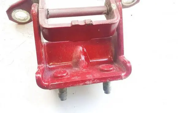Rear door lower hinge