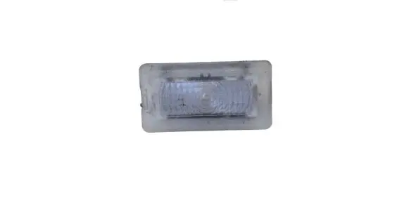 Tesla Model S Front seat light 100715170E