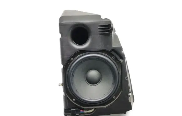 Tesla Model 3 Panel speaker 1079747-00-D