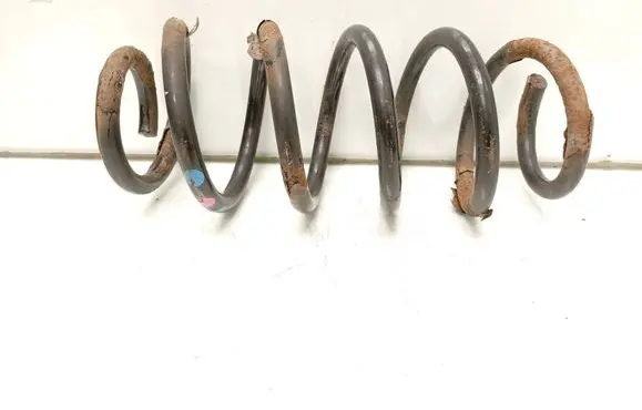 Rear coil spring