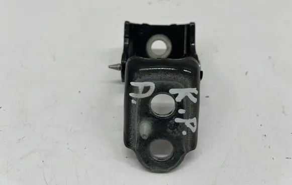 Opel Grandland X Front door lower hinge 