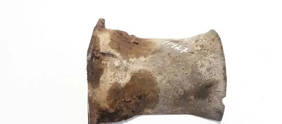 Other rear suspension part