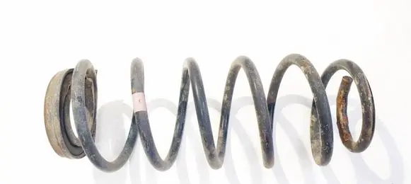 Rear coil spring