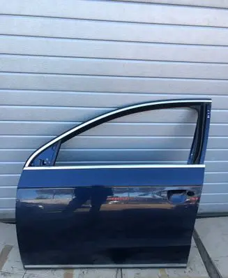 Volkswagen PASSAT B6 Front door 