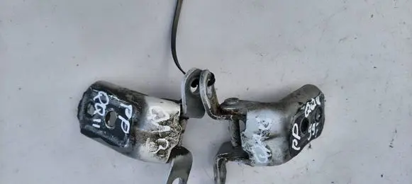 Nissan Qashqai Front door lower hinge 