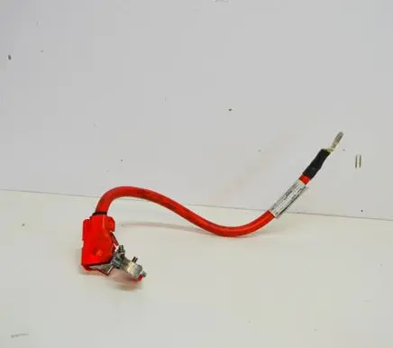 Positive wiring loom