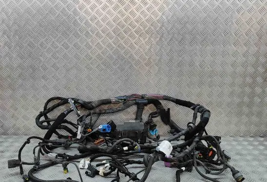 Maserati Ghibli Other wiring loom 670030455