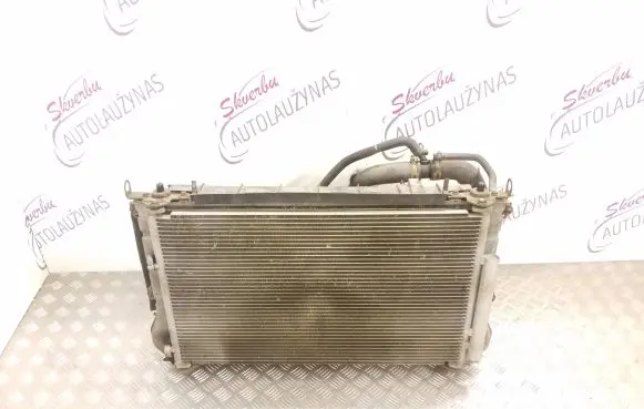 Toyota RAV 4 (XA30) Radiator set 4227501372