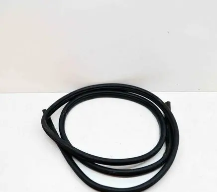 Dodge RAM 1500 DS Rubber seal front coupe door 55112354AC