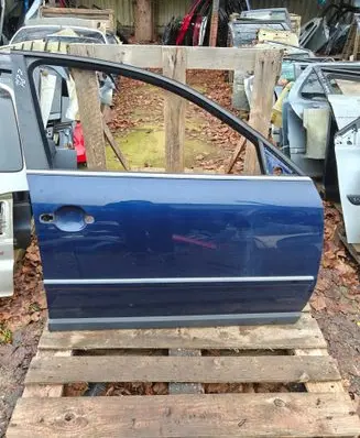 Volkswagen PASSAT B5.5 Front door