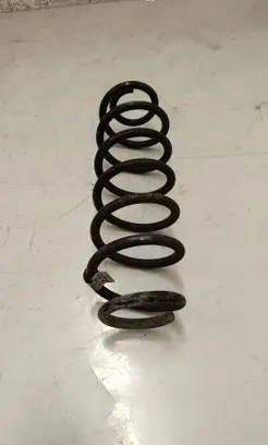 Rear coil spring