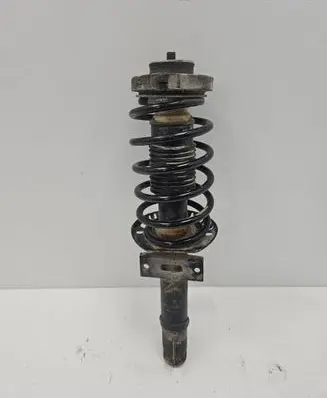Skoda Roomster (5J) Front shock absorber with coil spring 383330egt