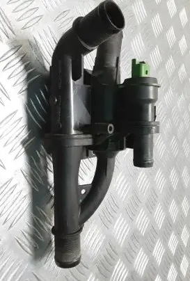 Thermostat/thermostat housing