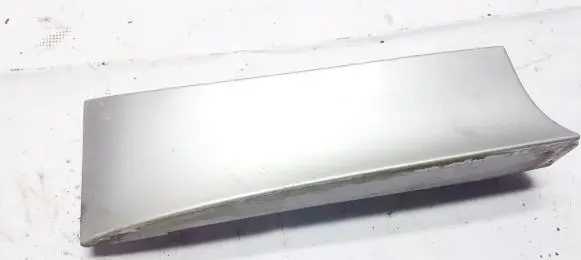 Rear/tail light trim molding