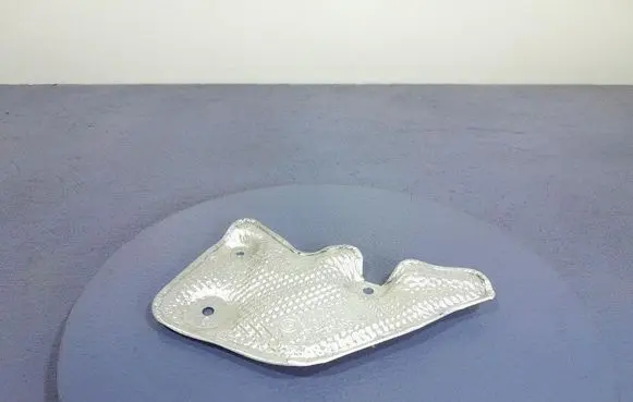 Audi A4 S4 B7 8E 8H Exhaust heat shield 7407877