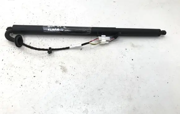 Tailgate strut