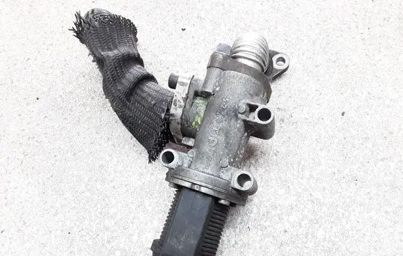 Fiat Croma EGR valve