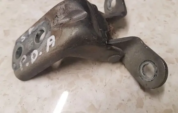 Hyundai Santa Fe Front door lower hinge 