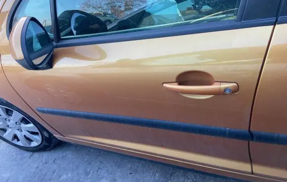Peugeot 207 Front door 