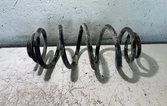 Opel Signum Rear coil spring