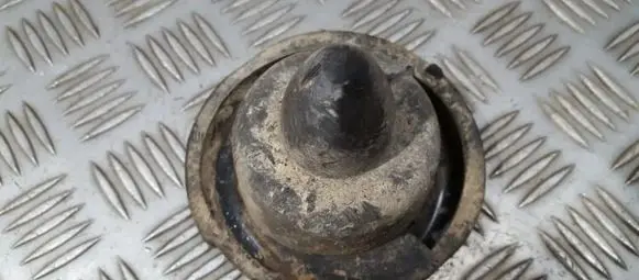 Coil spring mount
