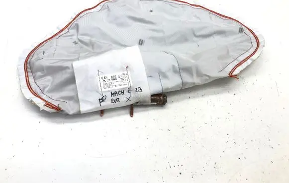 Ford Mustang Mach-E Seat airbag LJ8BR61D10AE