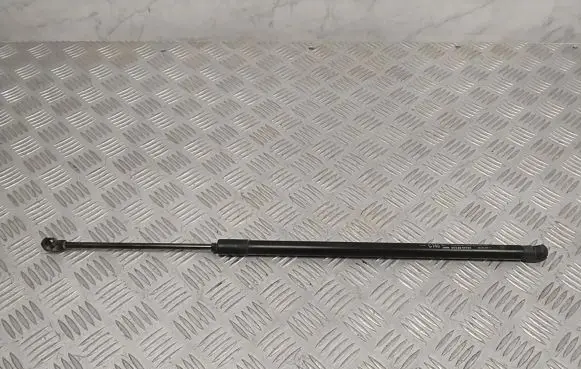 Opel Antara Tailgate strut 95047795