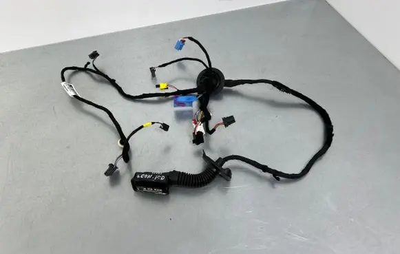 Front door wiring loom