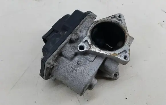 EGR valve