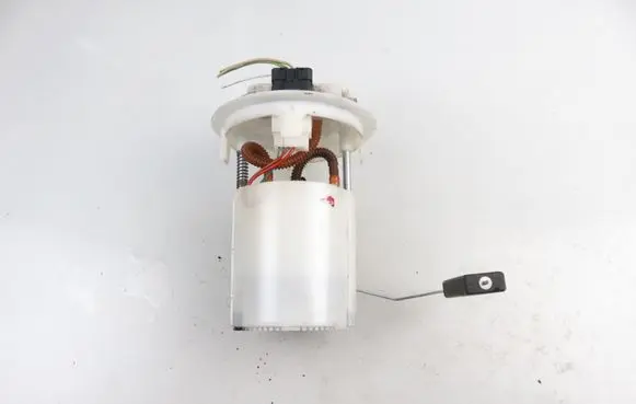 Peugeot 207 In-tank fuel pump 9684934480