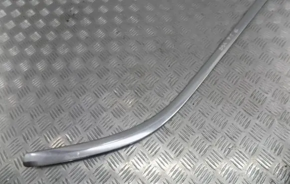 Citroen DS4 Rear door trim (molding)