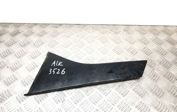 Other rear door trim element