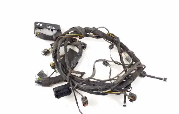 Mini Cooper Countryman F60 Other wiring loom 8801531